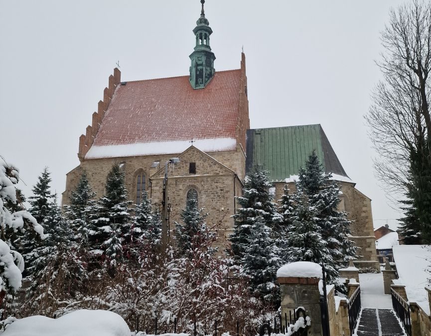 DZIEŃ WSPÓLNOTY REJONU STARACHOWICE – RELACJA